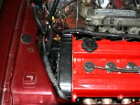 IMG 11994  New CAM belt cover fitted