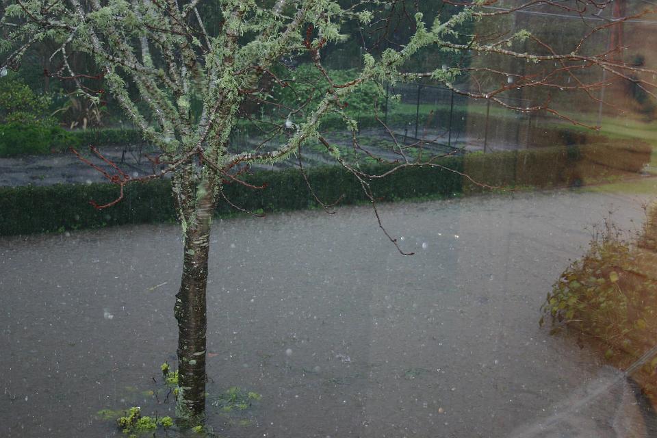 Click for original image