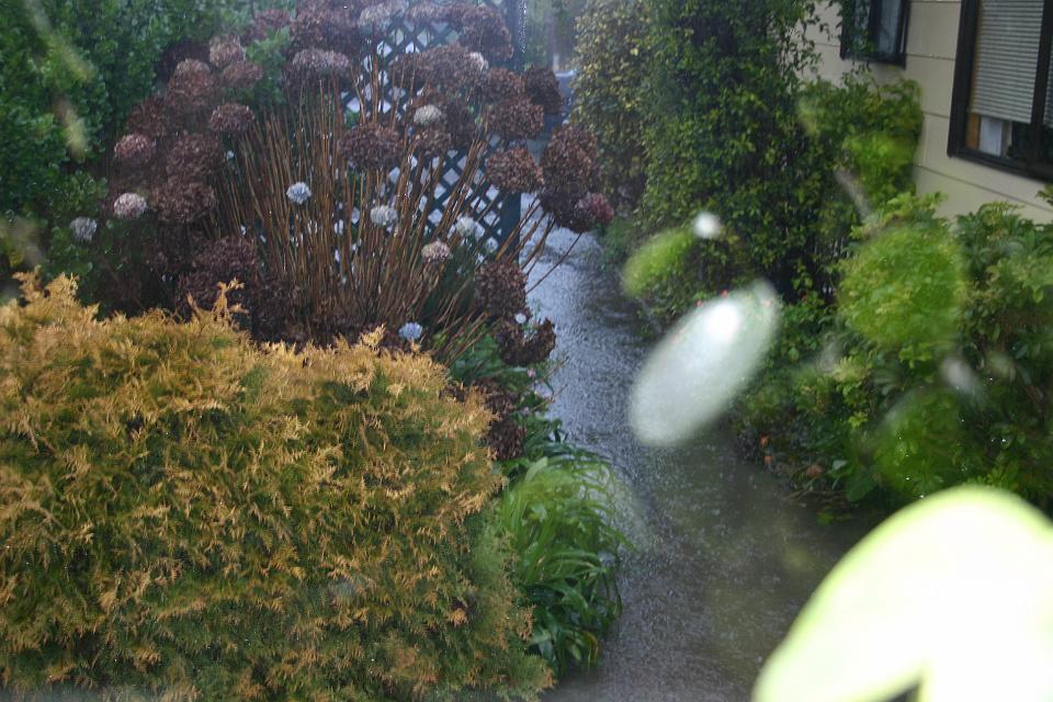 Click for original image