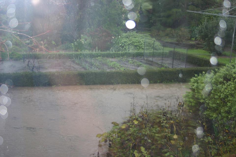 Click for original image