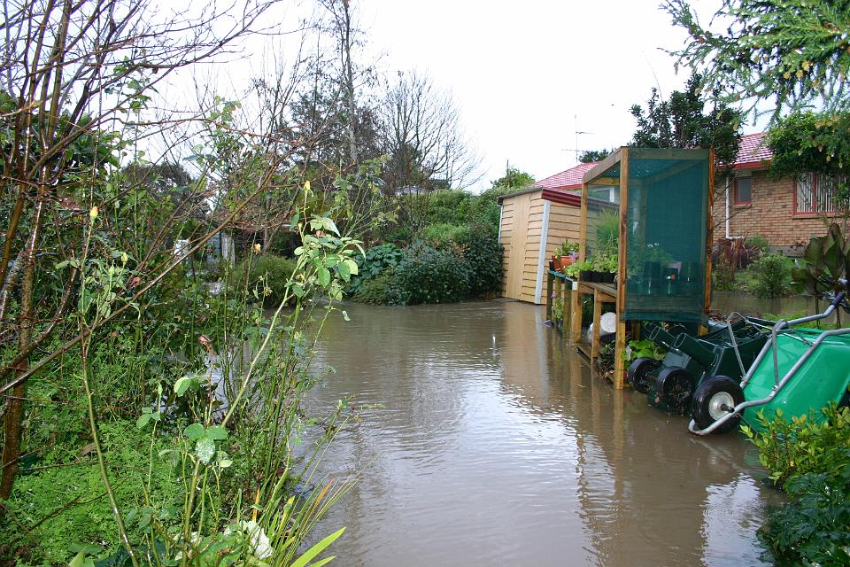 Click for original image