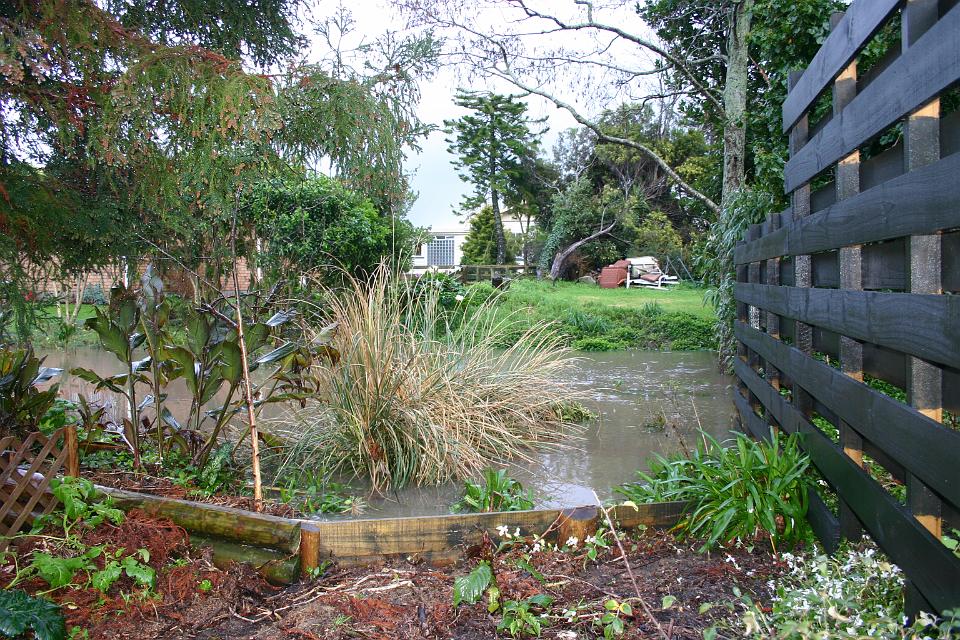 Click for original image