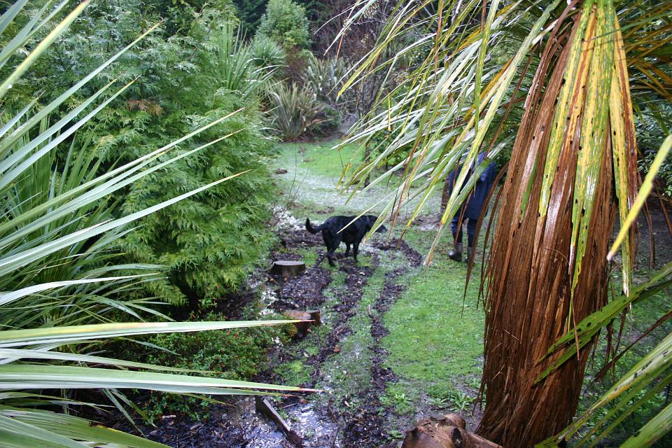 Click for original image