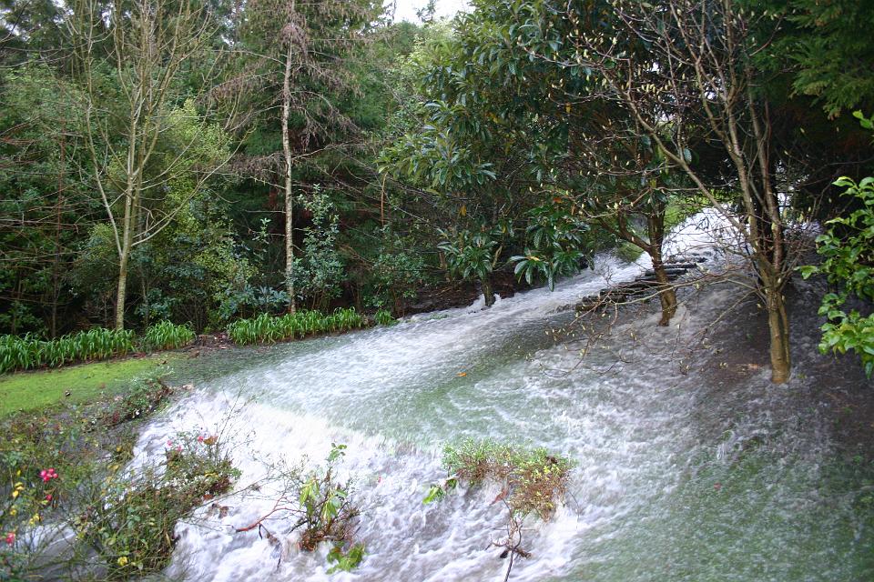 Click for original image