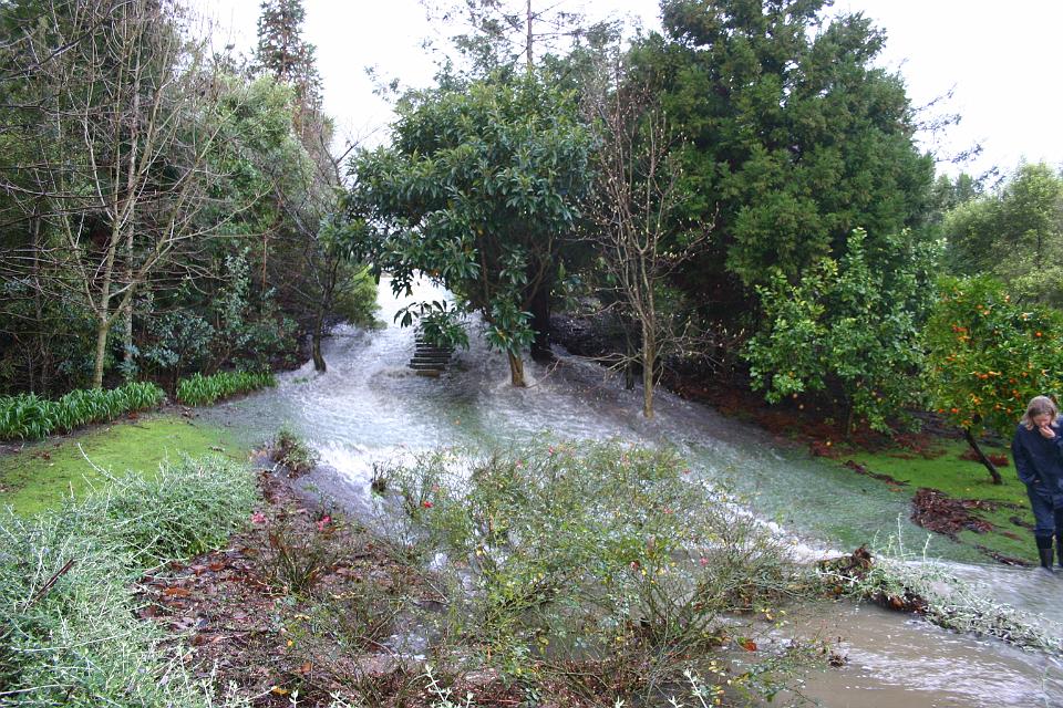 Click for original image