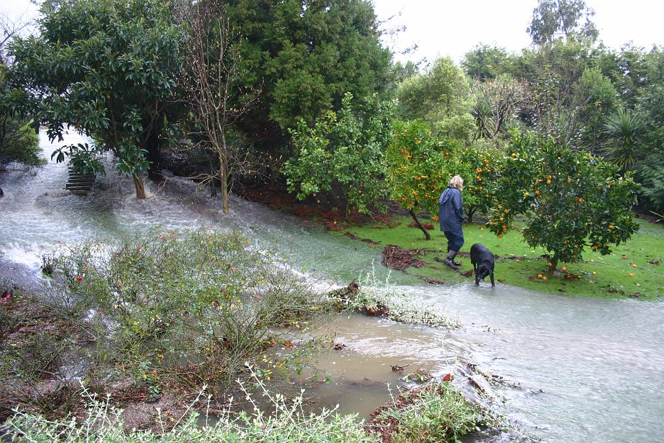 Click for original image