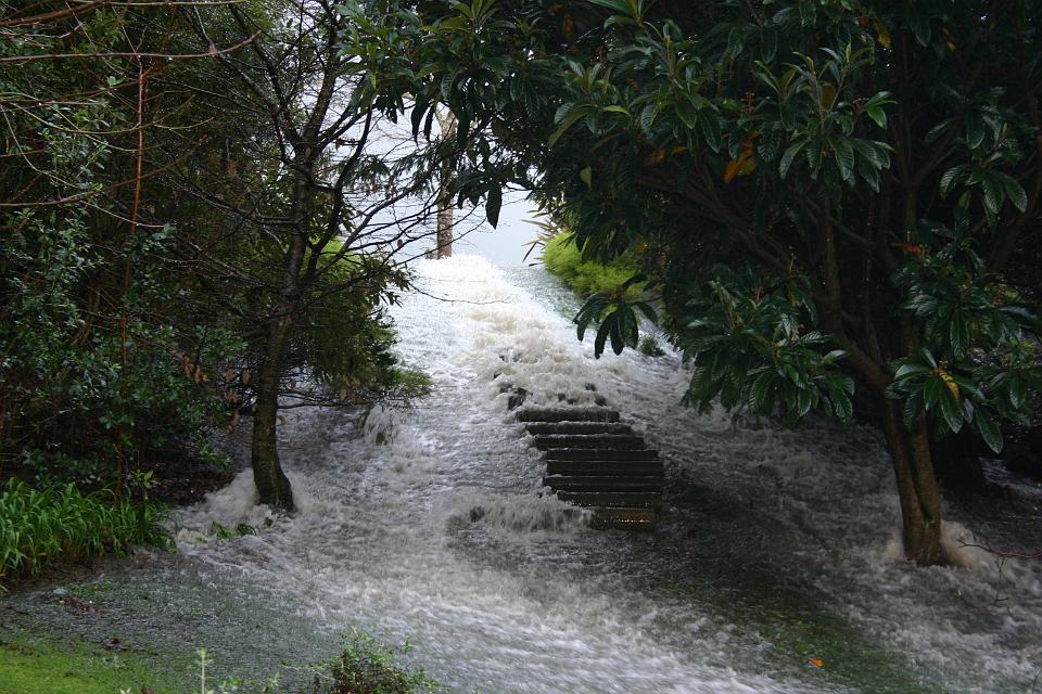 Click for original image