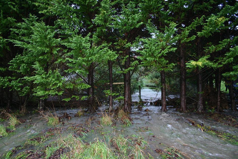 Click for original image