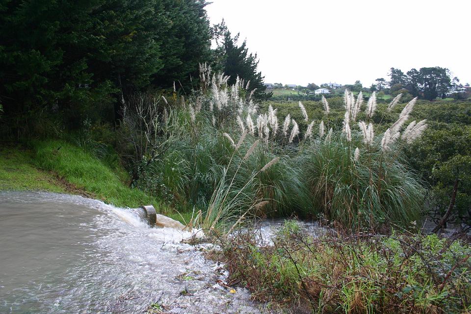 Click for original image