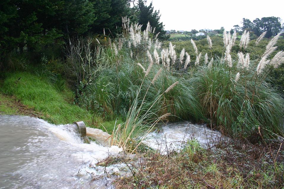 Click for original image