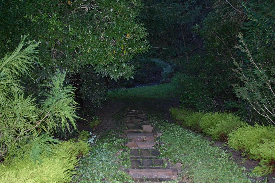 Click for original image