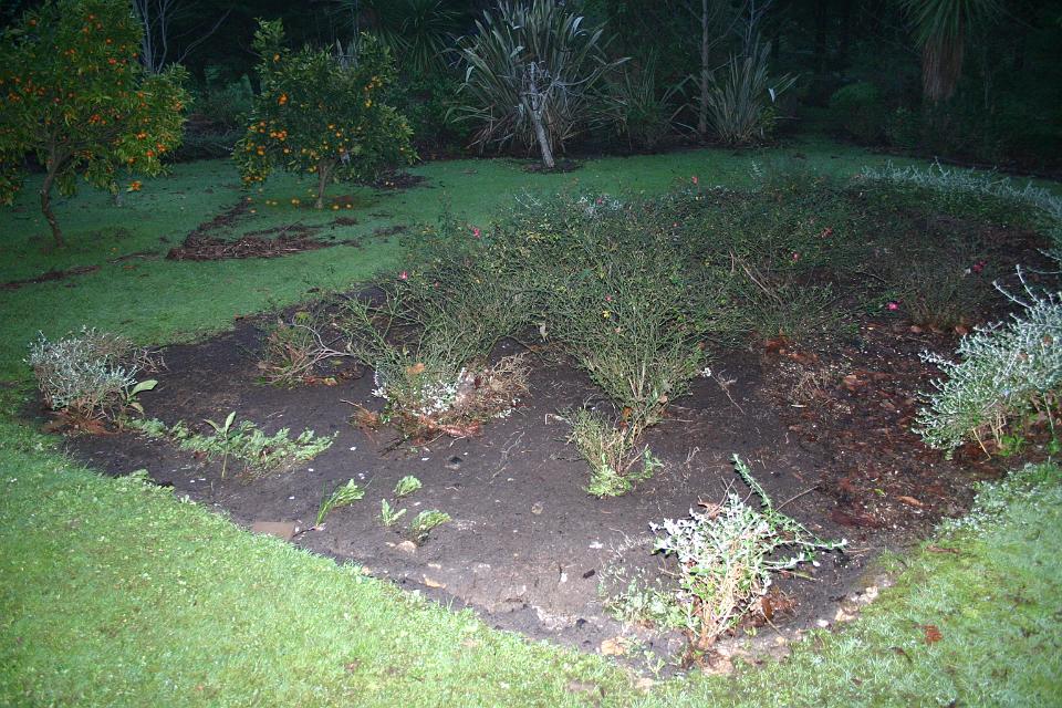 Click for original image