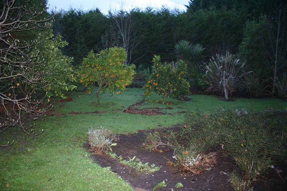 Click for original image