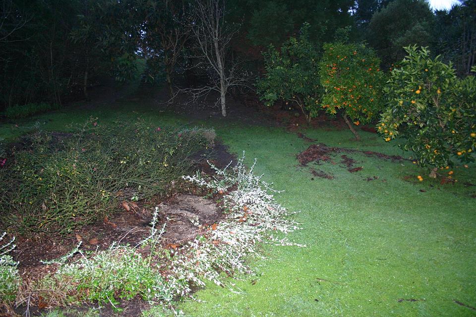 Click for original image