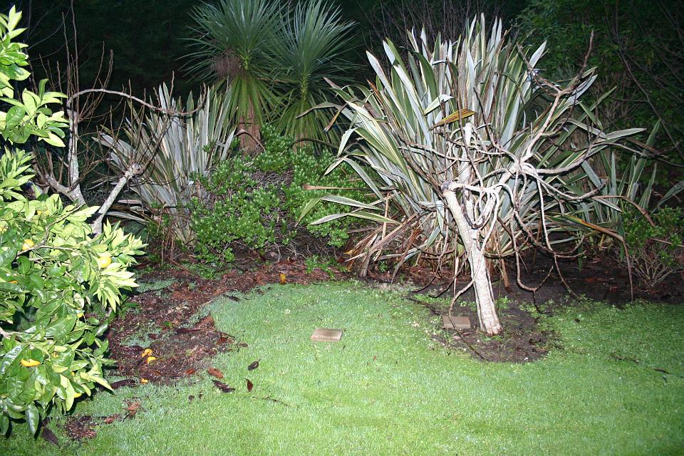 Click for original image