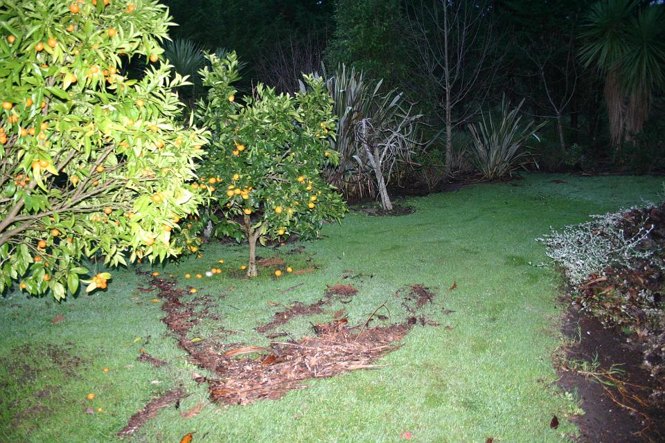 Click for original image