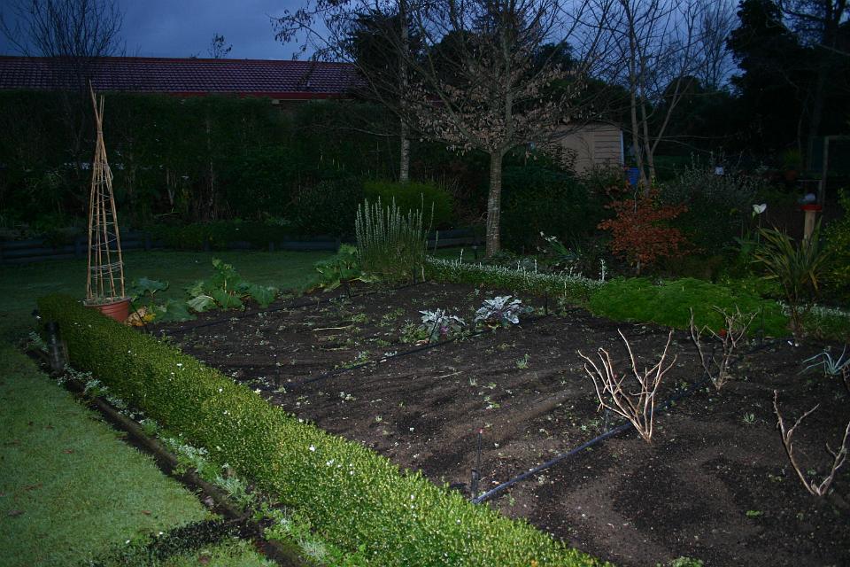 Click for original image