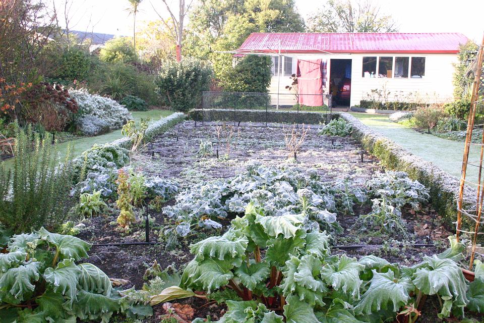 Click for original image