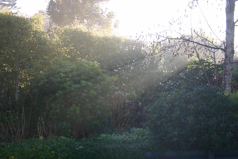 Click for original image