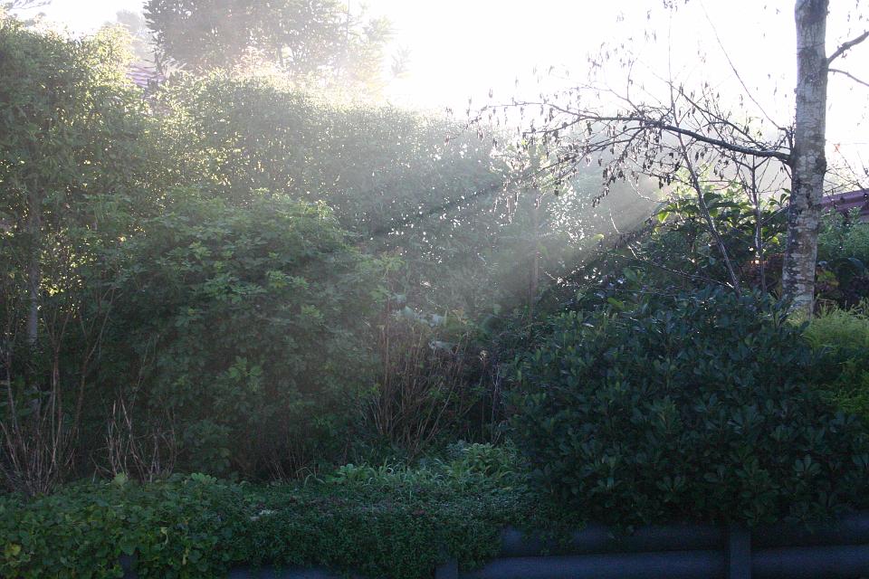 Click for original image