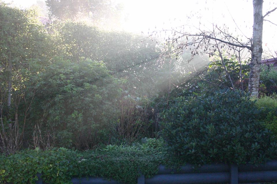 Click for original image