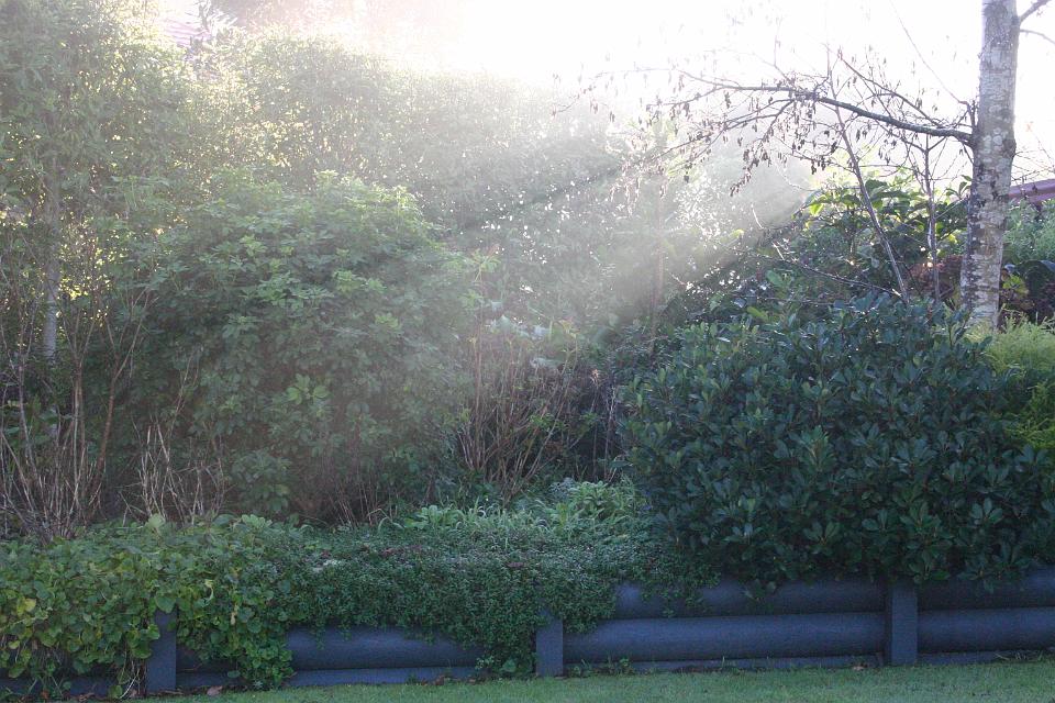 Click for original image