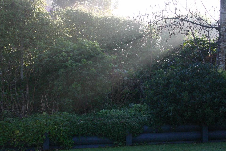 Click for original image